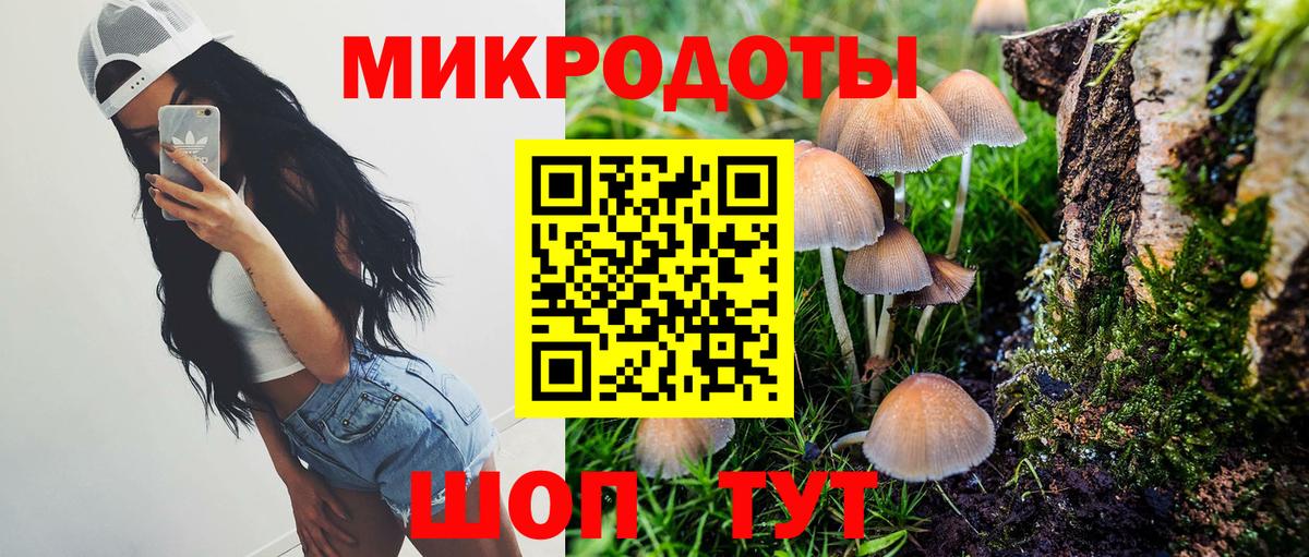 Галлюциногенные грибы Cubensis Старая Купавна