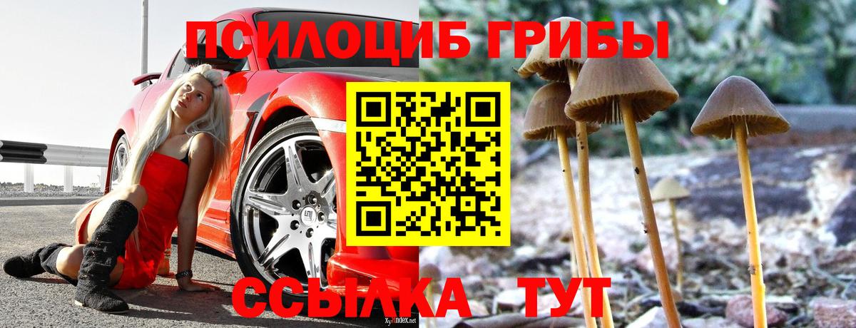 Старая Купавна  Псилоцибиновые грибы Psilocybine cubensis  Вход с VPN  Псилоцибиновые грибы Psilocybine cubensis 
